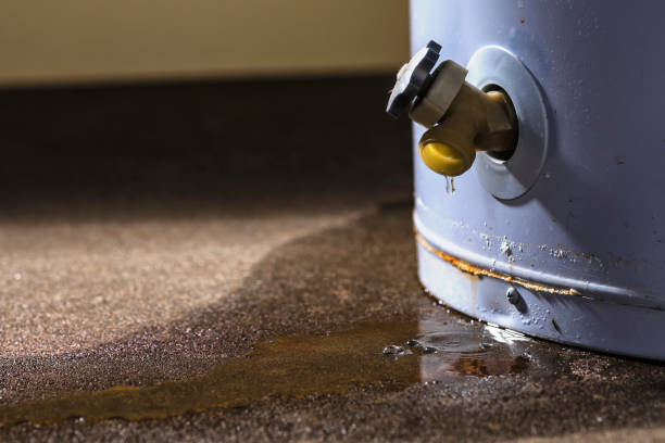 Best Mold removal after water damage  in Sayre, OK