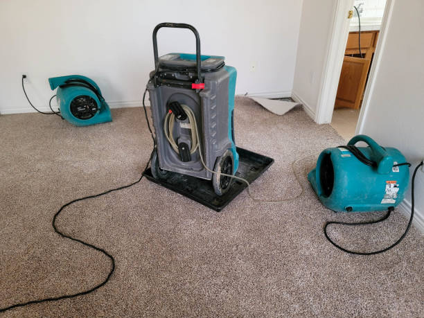 Best Water damage contractors near me  in Sayre, OK