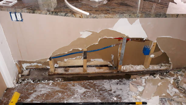 Best Mold removal after water damage  in Sayre, OK