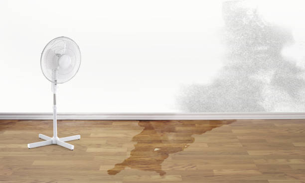 Best Basement water damage restoration  in Sayre, OK