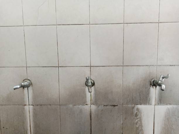 Best Water damage restoration near me  in Sayre, OK